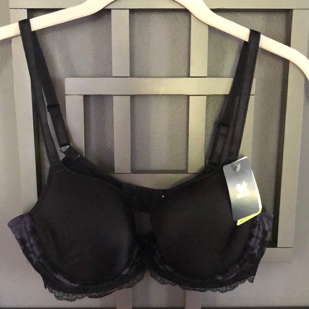NWT WACOAL Black and mauve Lace satin padded bra. Size 34B